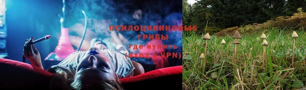 прущие крисы Пестово